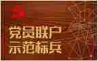 党员的工作总结范文6篇