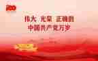 党员年终工作总结个人总结5篇