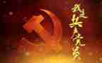 2022年年终党建工作总结7篇