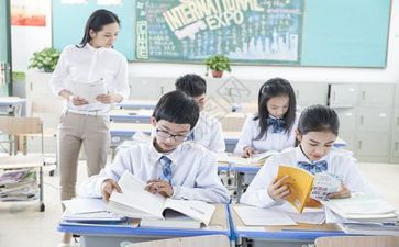 导师工作总结模板7篇