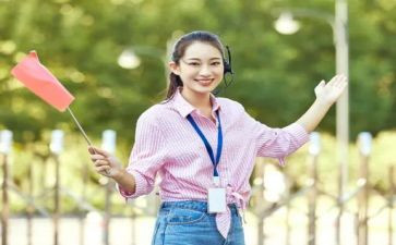 导游工作年度工作总结8篇
