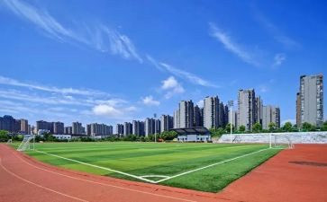 上大学心得体会800字精选5篇
