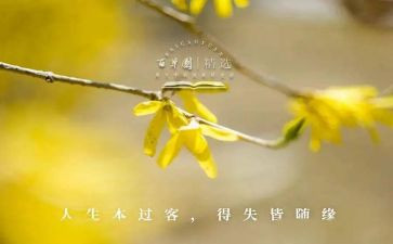 半学期的得与失演讲稿参考8篇