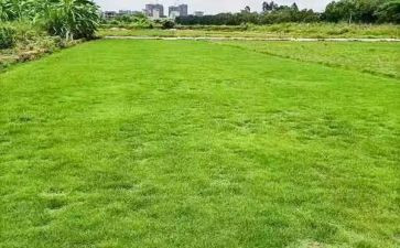 房地产销售的工作总结范文7篇