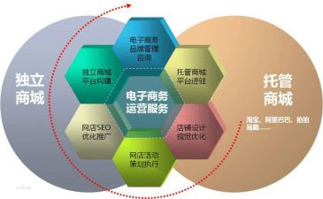 电商的调研报告5篇