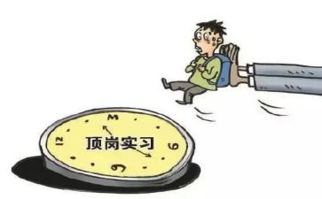 顶岗个人工作总结参考6篇