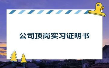 幼师顶岗工作总结5篇