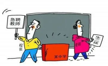 文员顶岗实习总结报告5篇