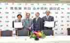担保董事会工作报告6篇