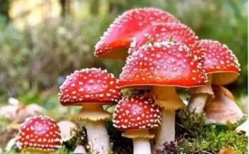 禁毒活动的总结通用7篇