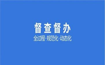 督查工作总结范文6篇