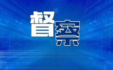 督查工作个人总结8篇