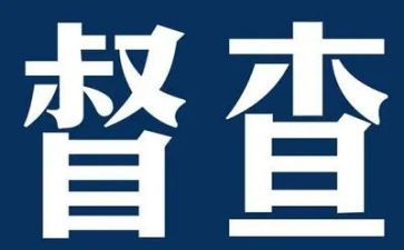 系督察工作总结6篇