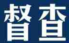 系督察工作总结6篇