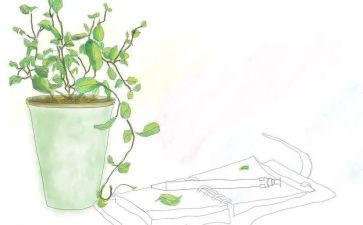 致教师读后感模板7篇