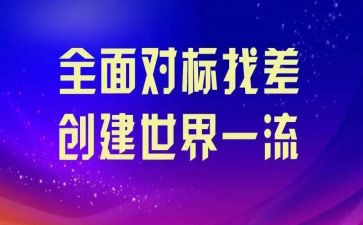 个人对标工作总结范文通用6篇