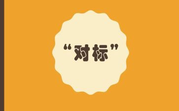 公司对标年度工作计划模板5篇