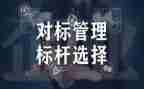年度公司对标工作总结8篇