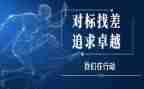 保安公司对标工作总结8篇