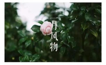 二月份工作总结7篇