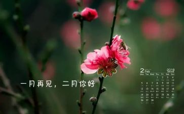 2024年二月总结通用7篇