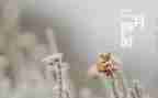 幼儿园小班二月工作总结6篇