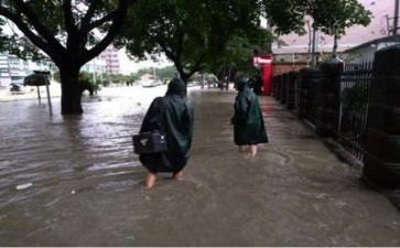 防汛科工作总结优秀8篇