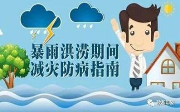 防汛工作年终总结6篇