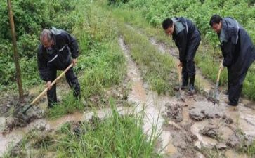 年度防汛工作总结7篇