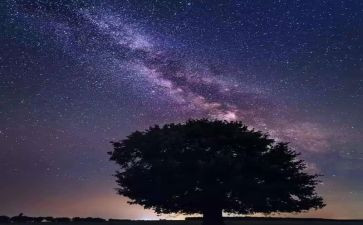 《繁星》读书心得5篇