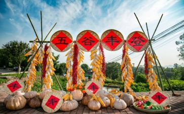 中国丰收节活动总结7篇