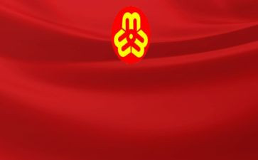 村妇联工作总结报告8篇