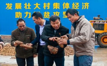 对扶贫工作总结7篇