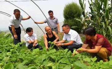 学校精准扶贫工作计划8篇