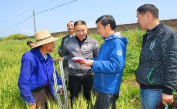 八零后扶贫工作总结6篇