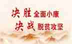 工作扶贫工作总结5篇
