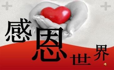 感恩主题月活动总结优秀8篇