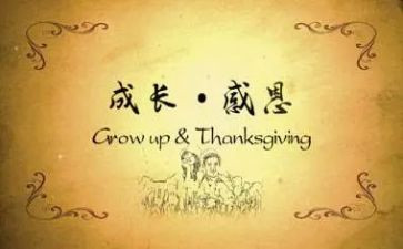 感恩的演讲稿三百字8篇