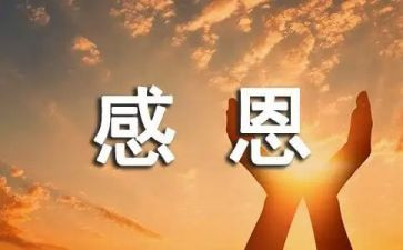 感恩公司的心得6篇