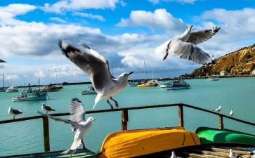 心灵的港湾600字作文6篇