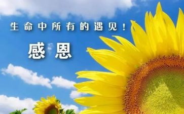 2024感谢陪伴作文参考8篇
