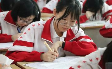 语文组教学计划高三5篇