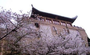 高校系年度工作总结推荐7篇