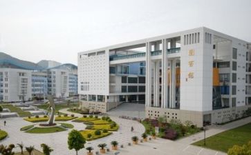 高校半年度工作总结5篇
