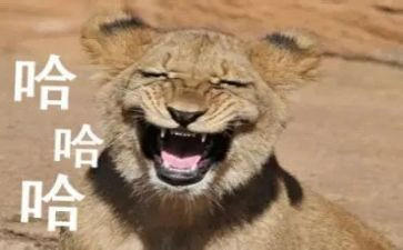 2024年搞笑作文通用7篇