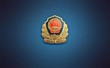 公安组工作总结最新5篇