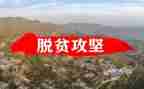 攻坚的作文5篇