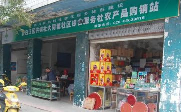 供销社工作工作计划8篇