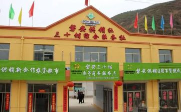 供销社主任工作报告5篇