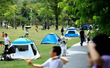 游公园作文600字推荐5篇